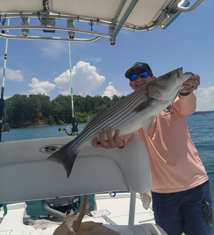 he best striper catches come from Lake Lanier.